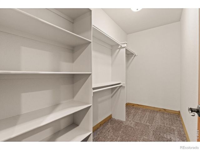 2036 Vineyard Court, Windsor, CO 80550