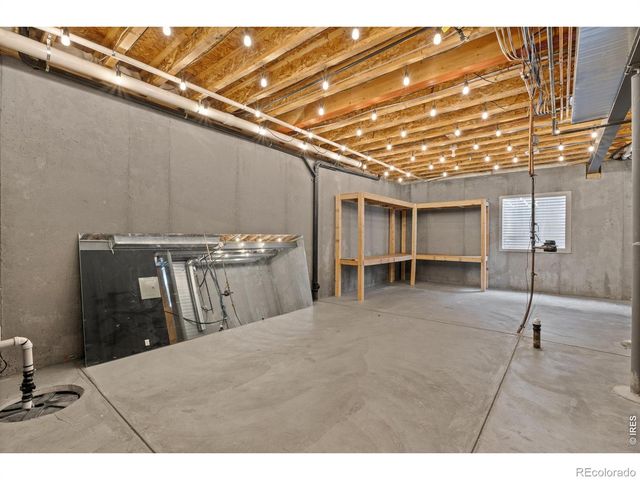 2036 Vineyard Court, Windsor, CO 80550