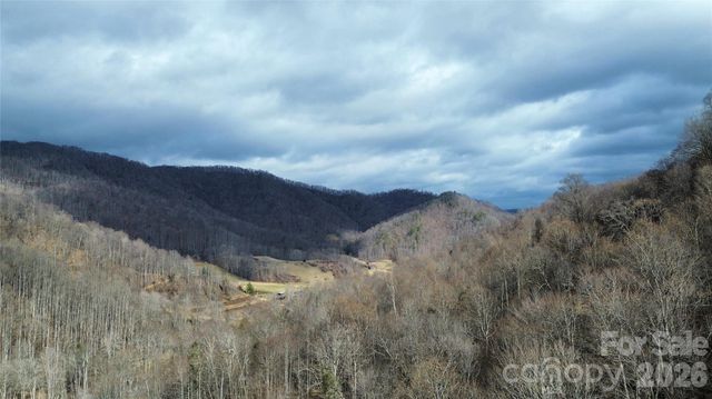 17619 Nc 209 Highway, Hot Springs, NC 28743