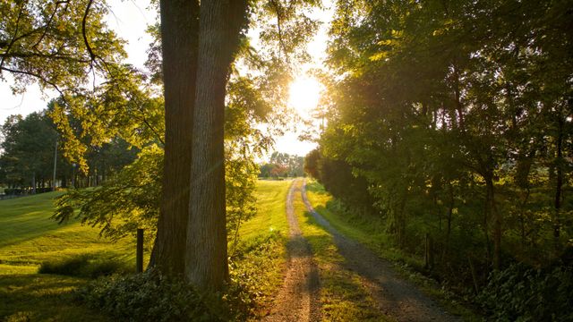 1665 Palmer Rd, Lebanon, TN 37090