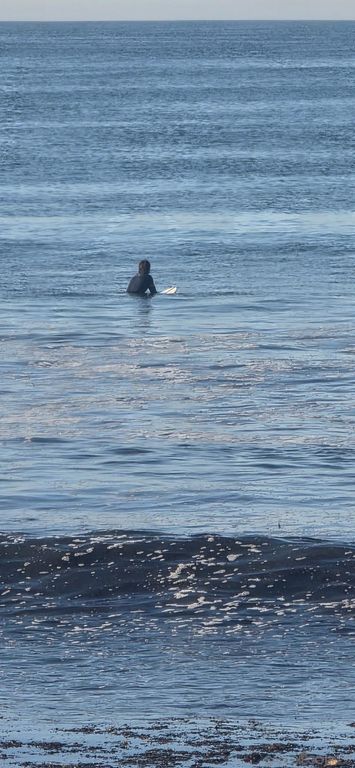 Image 4 of property listing at 1730 Avenida Del Mundo 610, Coronado, CA 92118