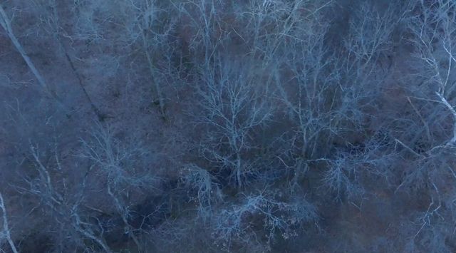 4 Enterprise Rd, Mount Pleasant, TN 38474