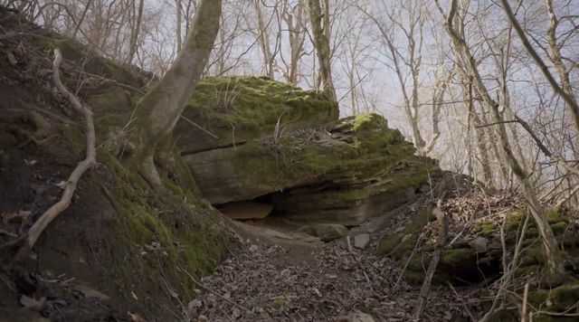 4 Enterprise Rd, Mount Pleasant, TN 38474