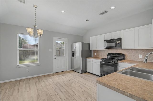 19206 Terra Forest Court, Katy, TX 77449
