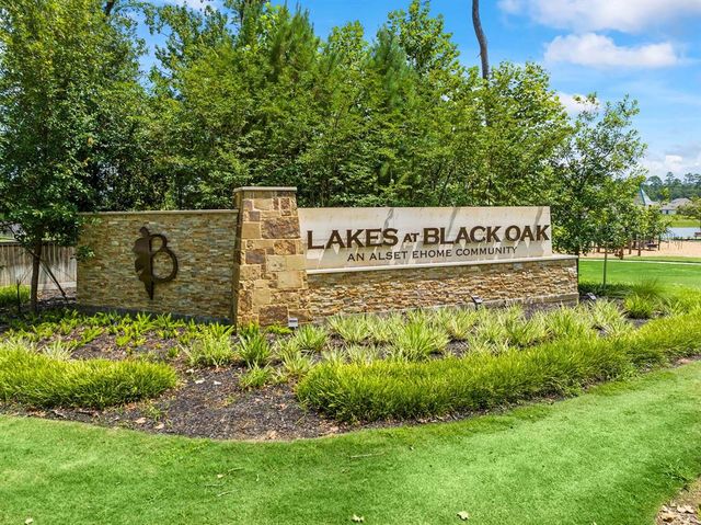 8627 Blueberry Ash Street, Magnolia, TX 77354