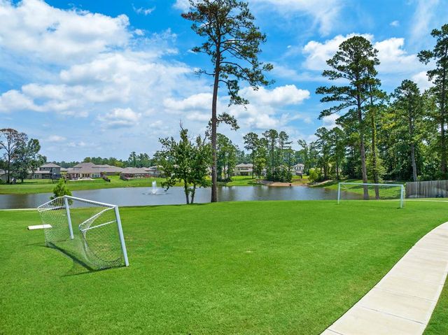 8627 Blueberry Ash Street, Magnolia, TX 77354