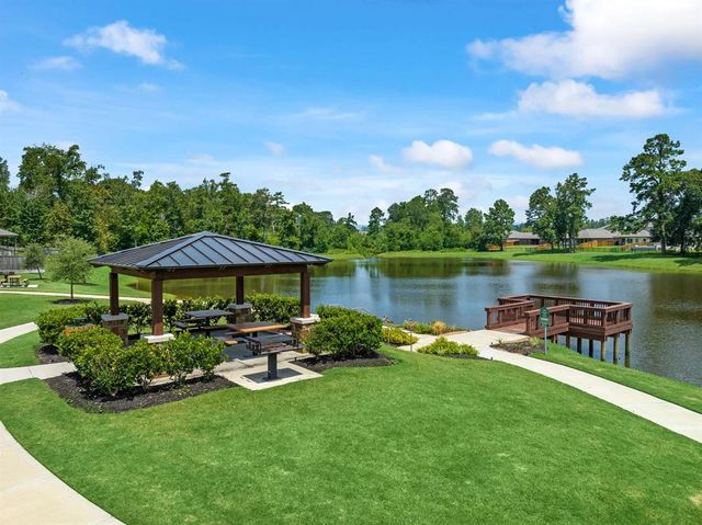 8627 Blueberry Ash Street, Magnolia, TX 77354