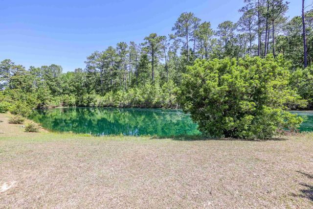 405 Carrick Loop, Longs, SC 29568