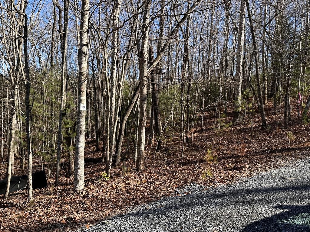 lot 19 Fairview Drive, Morganton, GA 30560