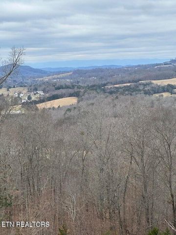 L-265 Marble Point Way, New Tazewell, TN 37825