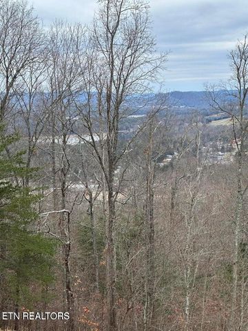 L-265 Marble Point Way, New Tazewell, TN 37825