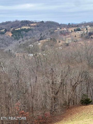 L-265 Marble Point Way, New Tazewell, TN 37825