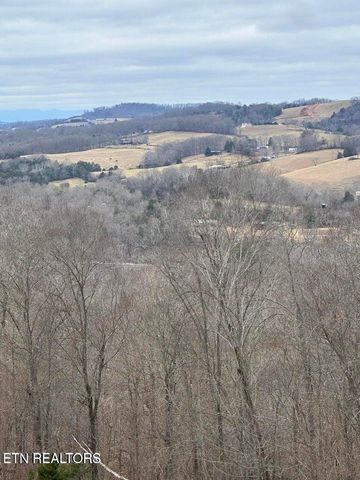 L-265 Marble Point Way, New Tazewell, TN 37825