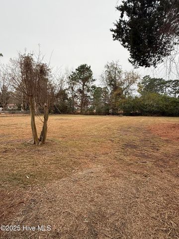 114 Beech Lane, Washington, NC 27889