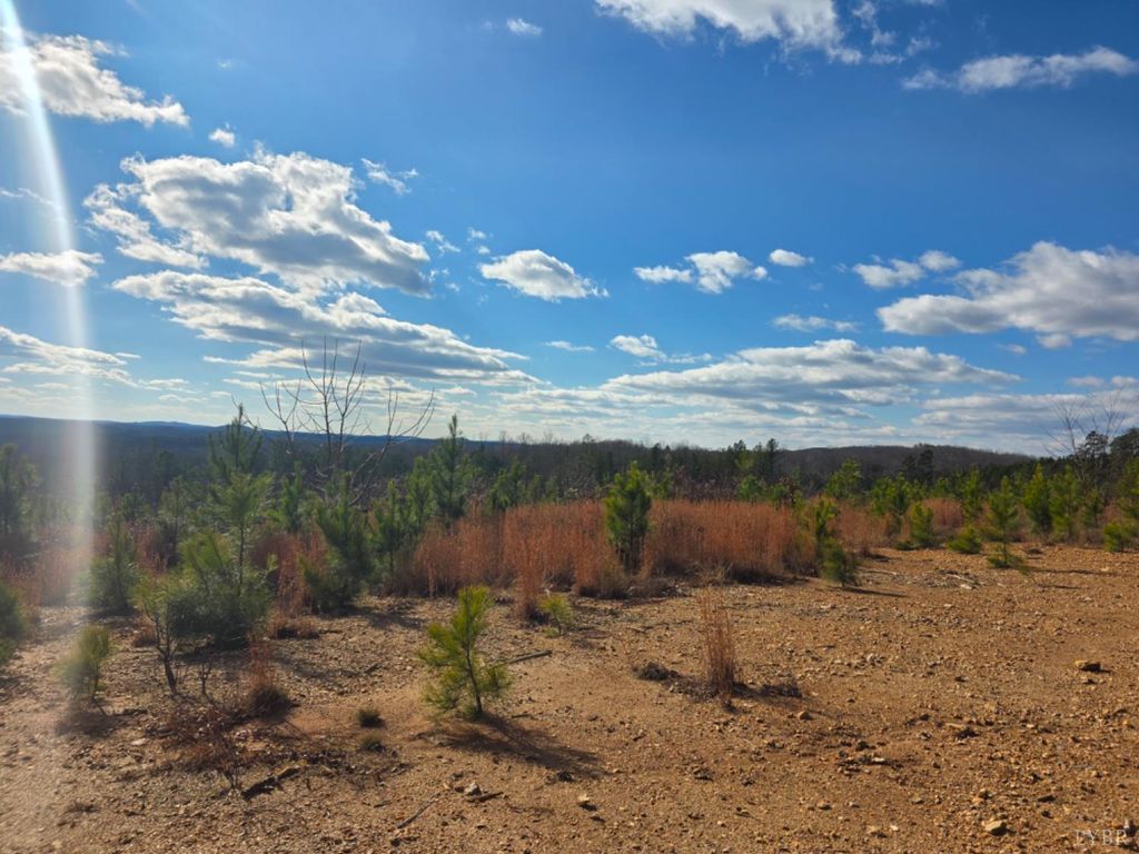 Image 10 of property listing at 0 5150 Norwood Road, Gladstone, VA 24553