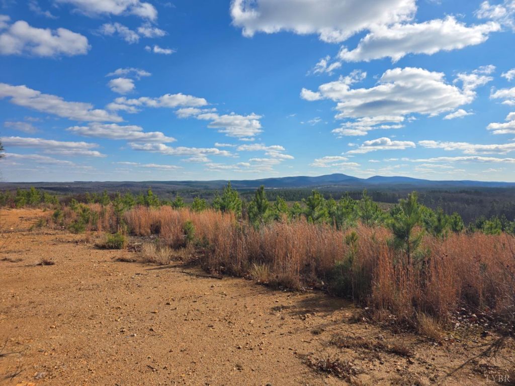 Image 12 of property listing at 0 5150 Norwood Road, Gladstone, VA 24553