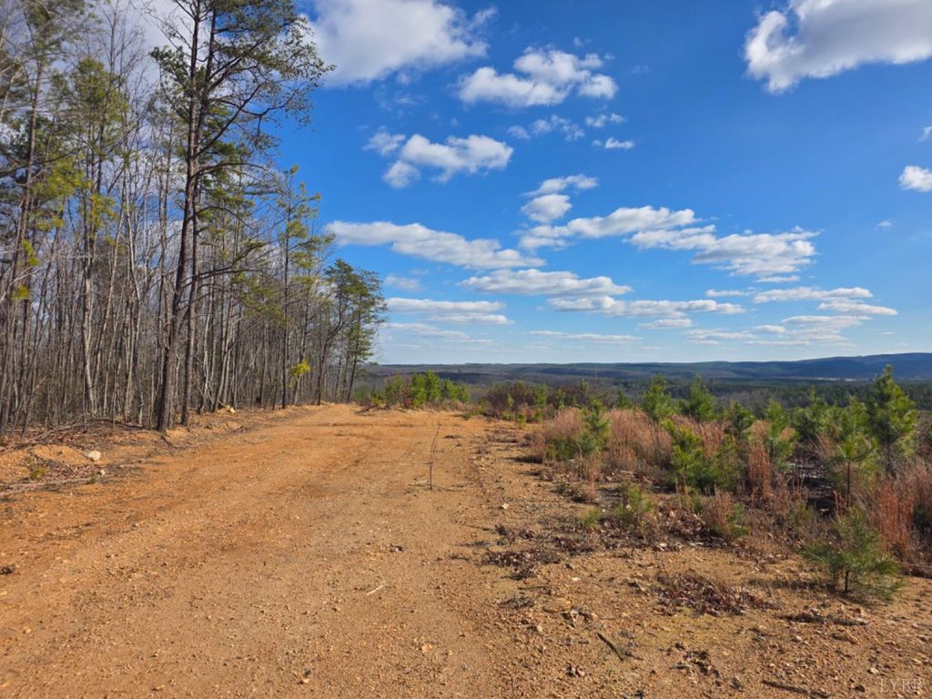 Image 15 of property listing at 0 5150 Norwood Road, Gladstone, VA 24553