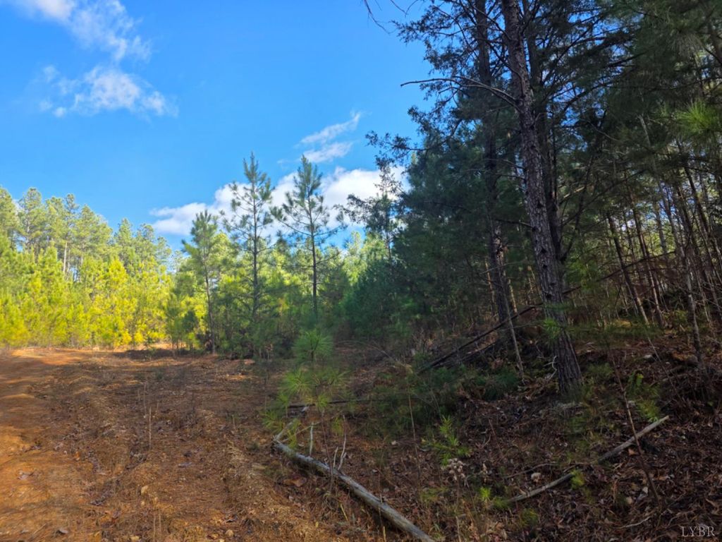 Image 2 of property listing at 0 5150 Norwood Road, Gladstone, VA 24553