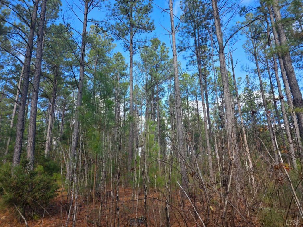 Image 5 of property listing at 0 5150 Norwood Road, Gladstone, VA 24553