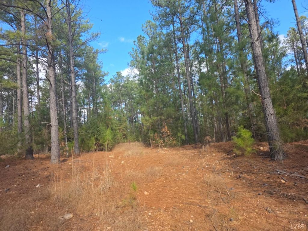 Image 6 of property listing at 0 5150 Norwood Road, Gladstone, VA 24553