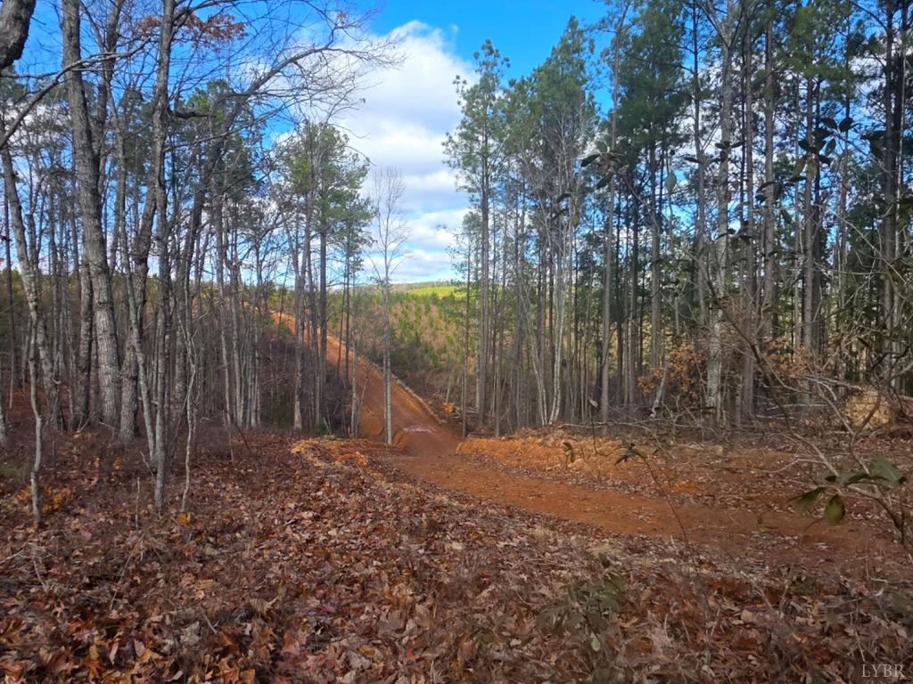 Image 7 of property listing at 0 5150 Norwood Road, Gladstone, VA 24553