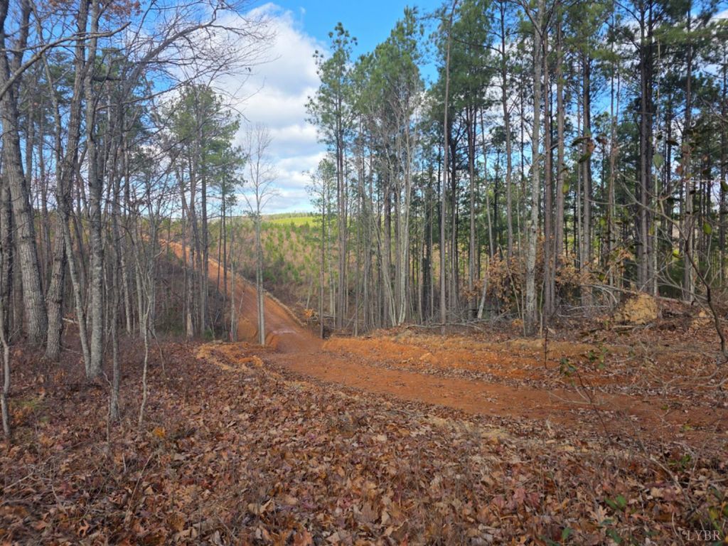 Image 8 of property listing at 0 5150 Norwood Road, Gladstone, VA 24553