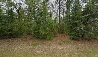 846 W HEMLOCK DRIVE, Citrus Springs, FL 34434
