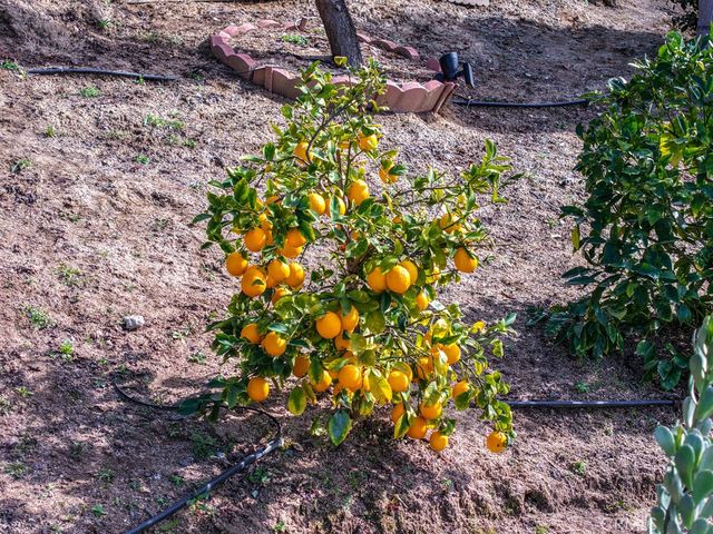 40493 Calle Katerine, Temecula, CA 92591