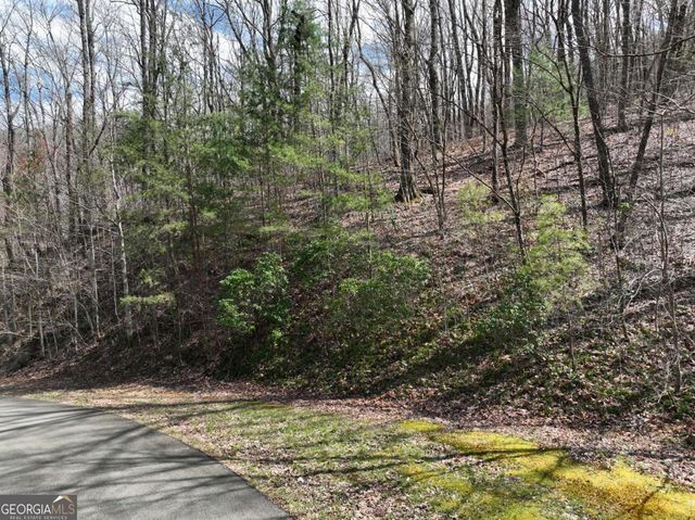 66 St Andrews Way, Ellijay, GA 30536