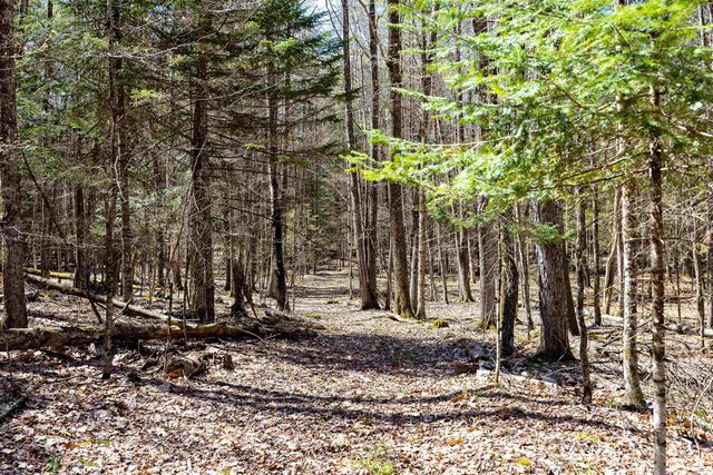 485 Copenhagen Road, Waterford, VT 05819