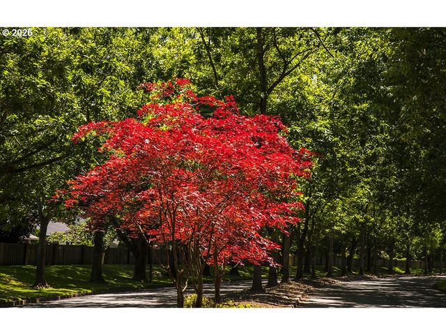 8405 Sw CURRY Dr D, Wilsonville, OR 97070