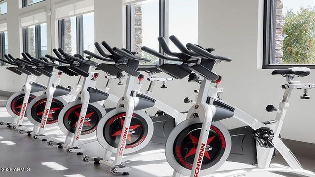 1331 W VIA DEL PALO --, San Tan Valley, AZ 85140