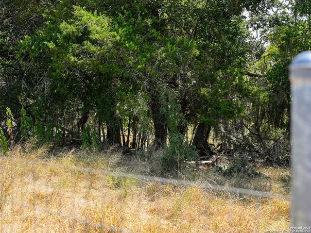 6766 Spring Branch Road, Spring Branch, TX 78070