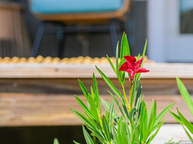 6766 Spring Branch Road, Spring Branch, TX 78070