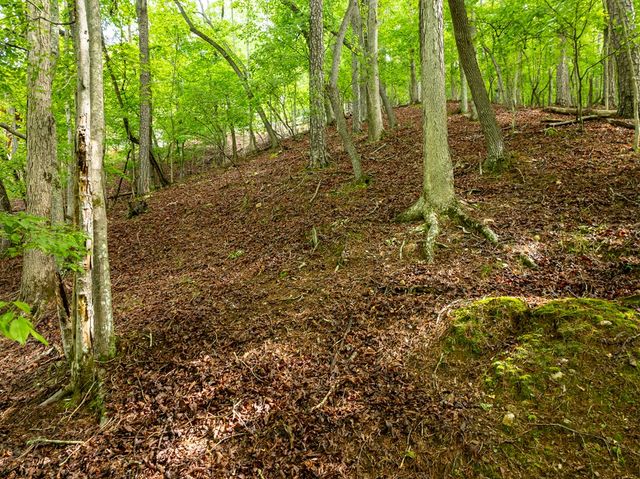 2601LT Parker Way, Ellijay, GA 30540