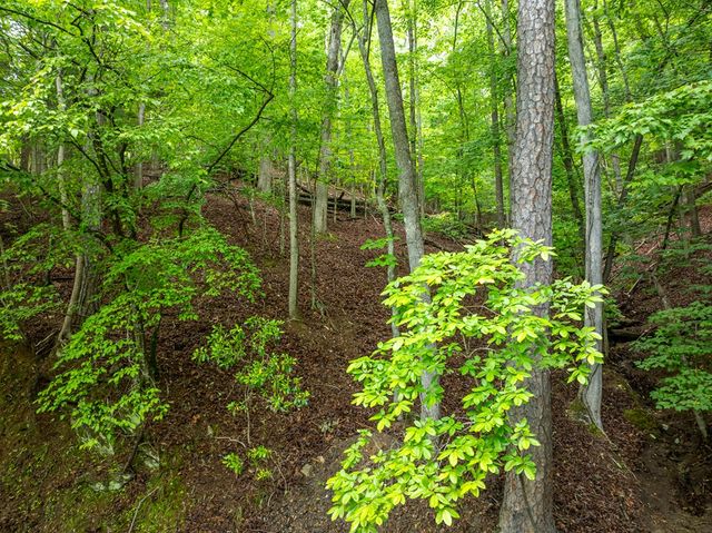 2601LT Parker Way, Ellijay, GA 30540