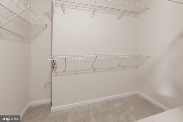 25236 ORCHARD VIEW TER, Chantilly, VA 20152