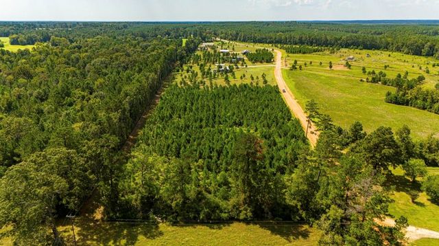 0 Nursery Road, Livingston, TX 77351