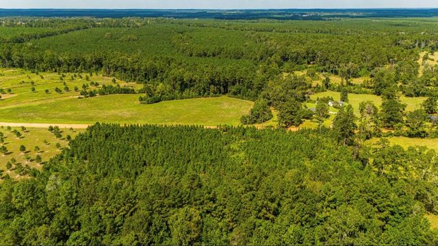 0 Nursery Road, Livingston, TX 77351