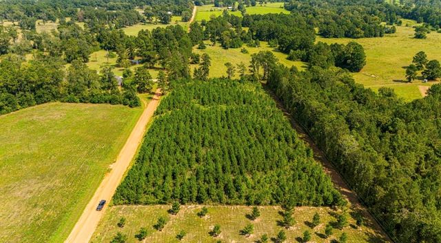 0 Nursery Road, Livingston, TX 77351