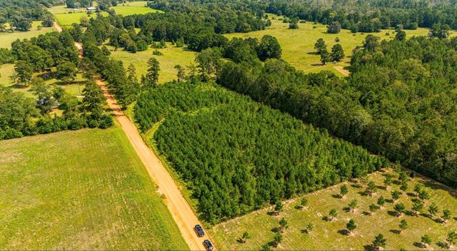 0 Nursery Road, Livingston, TX 77351