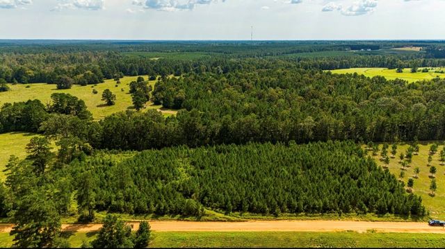 0 Nursery Road, Livingston, TX 77351