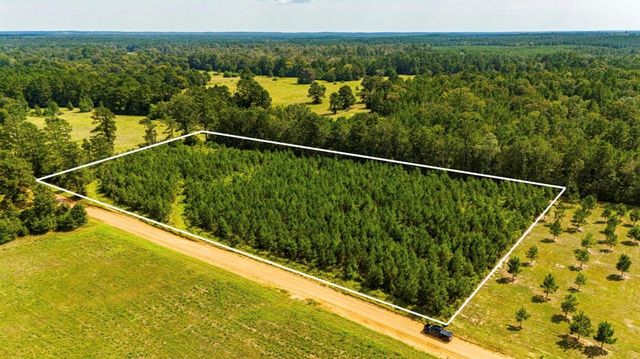 0 Nursery Road, Livingston, TX 77351