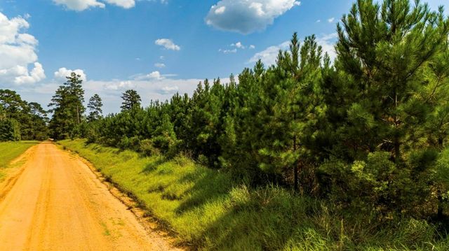 0 Nursery Road, Livingston, TX 77351