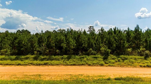 0 Nursery Road, Livingston, TX 77351