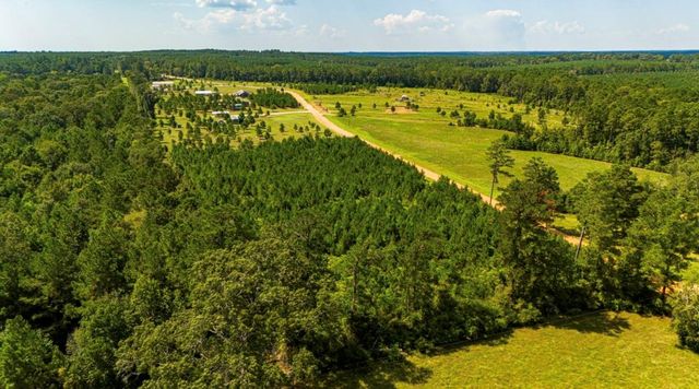 0 Nursery Road, Livingston, TX 77351