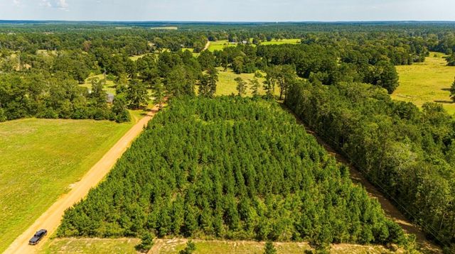 0 Nursery Road, Livingston, TX 77351