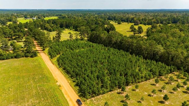 0 Nursery Road, Livingston, TX 77351