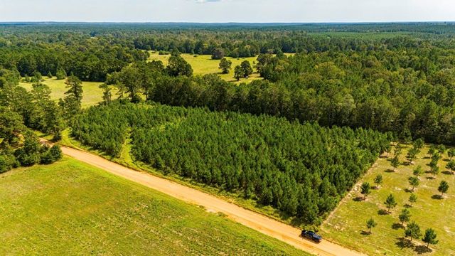 0 Nursery Road, Livingston, TX 77351