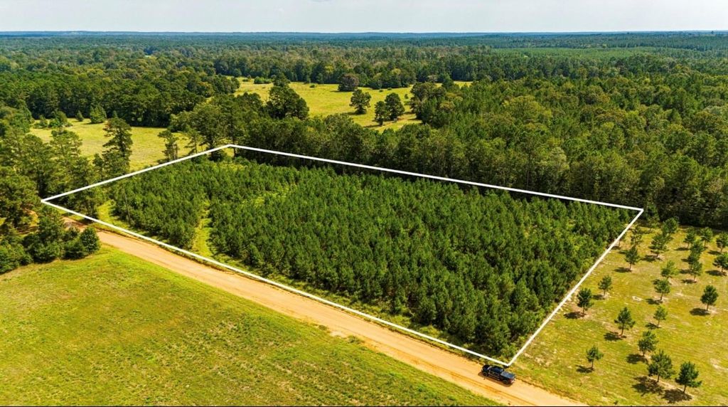 0 Nursery Road, Livingston, TX 77351